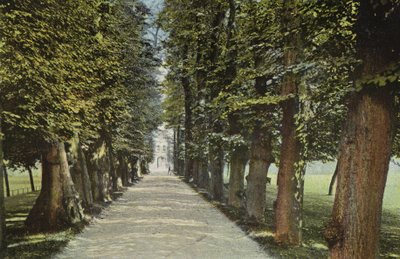 Trinity College, die Allee von English Photographer